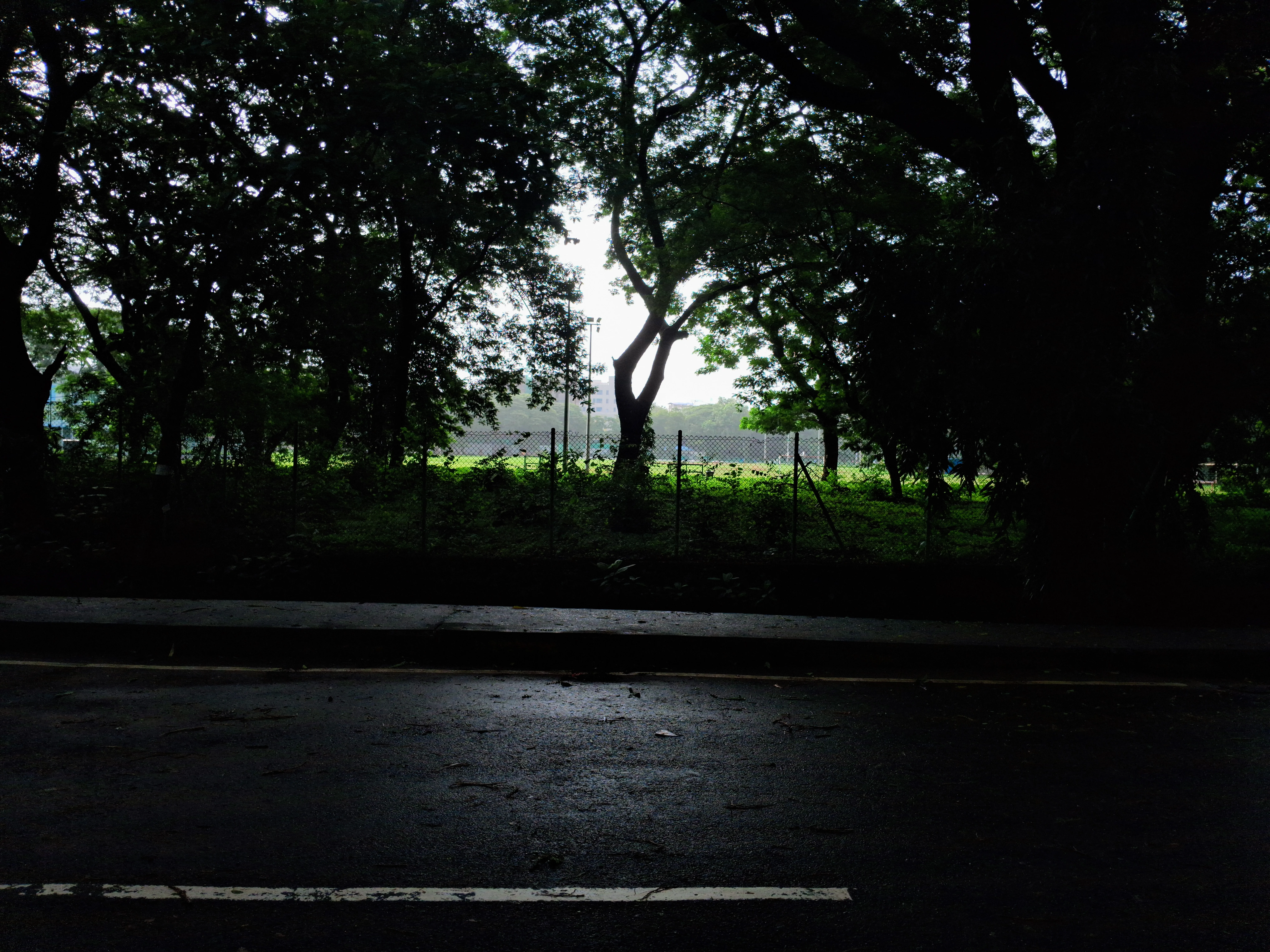 Git — Upstream Contributions